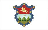 Flag of Guatemala City