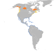 Limnodromus griseus map.svg