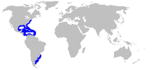 Mustelus canis distmap.png