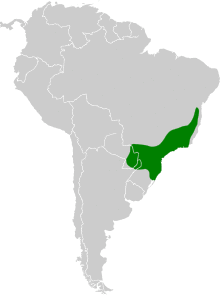 Phaethornis eurynome map.svg