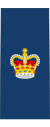 Canadian RCAF OR-7.svg