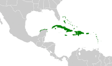 Zenaida aurita map.svg