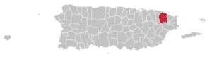 Map of Puerto Rico highlighting Río Grande Municipality