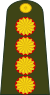Argentina-Army-OF-9.svg