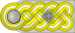 SS-Gruppenführer h.svg
