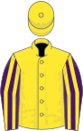 Yellow, Purple and Yellow striped sleeves
