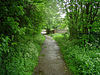 Edenthorpe - Bridleway.jpg