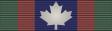 Canadian Volunteer Service Medal BAR 2.svg