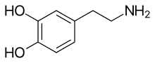 Dopamine structure