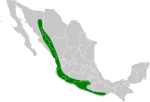 Glaucidium palmarum map.svg