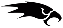 Logo of the Merseyside Nighthawks.png