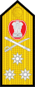 13-Indian Navy-VADM.svg