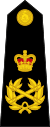 British Royal Marines OF-10.svg