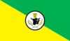 Flag of Villanueva, Casanare