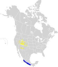 Oreothlypis virginiae map.svg