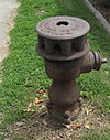 1869BirdsillHollyHydrantSideTop.jpg