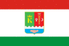Flag of Staryi Krym