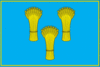 Flag of Tulchyn