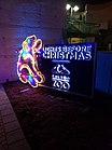 Toledo Zoo Lights Before Christmas.jpg