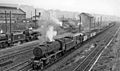 Balornock Locomotive Depot WD 2-8-0 hauling a new Diesel shunter in Up freight passing geograph-2760040-by-Ben-Brooksbank.jpg