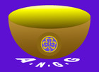 Association Nationale des Guides de Guinée.png