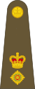 Lieutenant-colonel