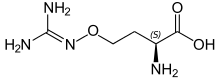 Chemical structure of L-(+)-(S)-canavanine