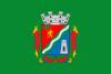 Flag of City of São Leopoldo