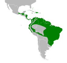 Coereba flaveola map.svg