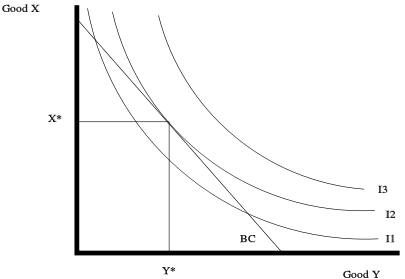 link between indifference curves budget constraint an consumers choice.