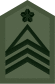 JGSDF Sergeant Major insignia (miniature).svg