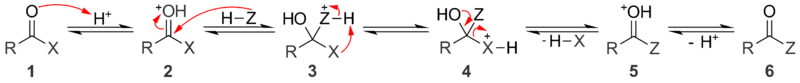 A general mechanism for acid catalyzed nucleophilic acyl substitution