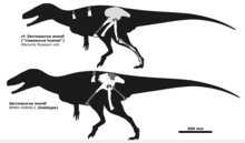 Sarcosaurus known material.png