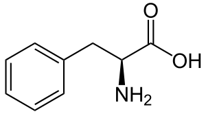 L-Phenylalanin - L-Phenylalanine.svg