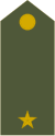 Army-SVK-OF-01b.svg