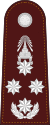 RTP OF-9 (Police General).svg