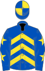 Royal blue, yellow chevrons, royal blue sleeves, yellow stars, quartered cap