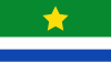 Flag of Vega de Santa María