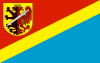 Flag of Radziejów County