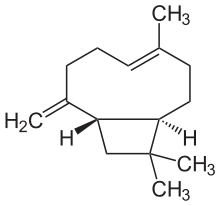 Beta-Caryophyllen.svg