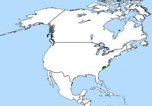 Dionaea distribution (revised).svg