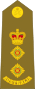 Australian Army OF-5.svg