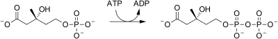 Phosphomevalonate kinase reaction.svg