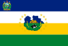 Flag of Guárico State