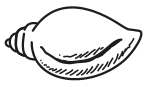 Indian Election Symbol Conch.svg