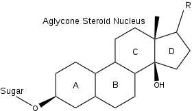 Cardiac glycoside general structure.svg