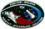 Sts31 flight insignia.png