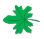 Palmatifide.svg