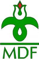 MDF party logo.jpg