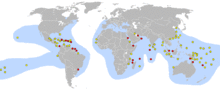 This world map shows concentrated nesting sites in the Caribbean and northeast coast of South America. Many other sites are spread across South Pacific islands, with other concentrations in the Red Sea and Persian Gulf, China's East coast, Africa's southeast coast and Indonesia.
